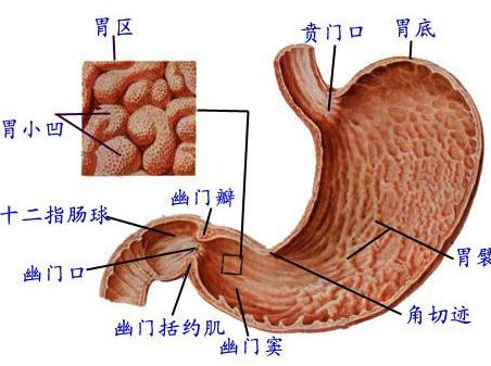 胃炎 急性