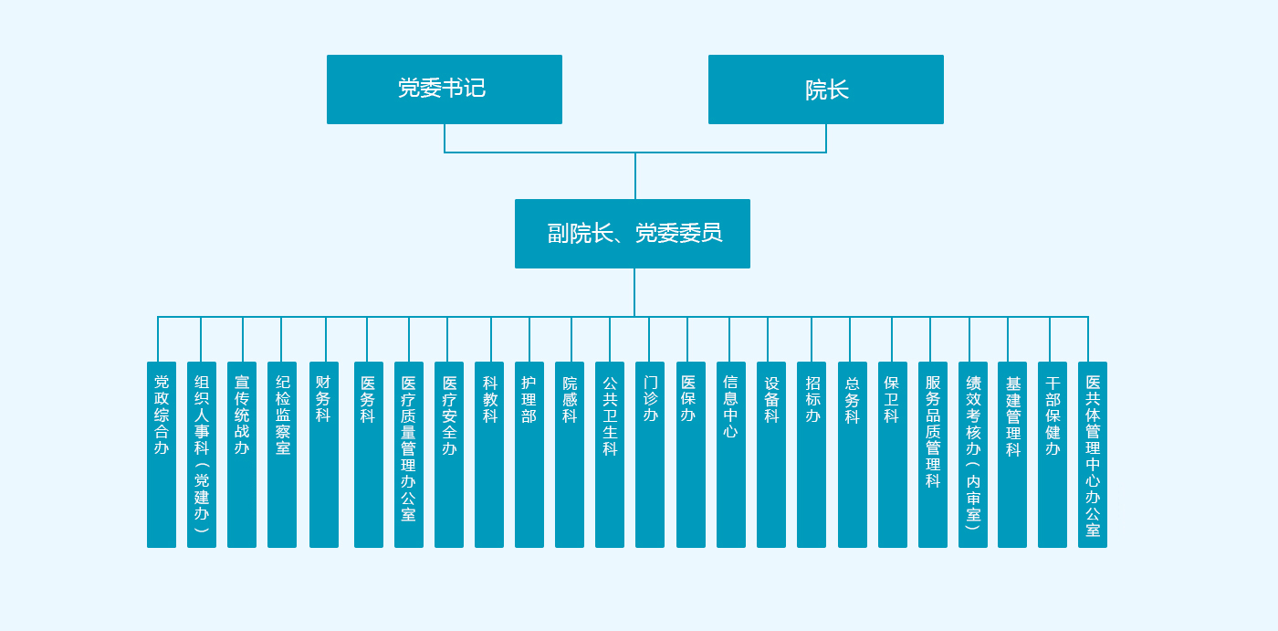 民营医院组织结构图图片